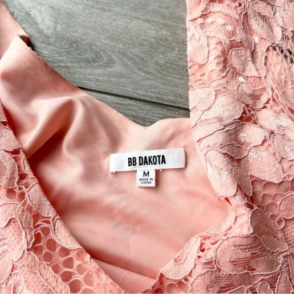 BB Dakota Rene Deep V Neck Lace Shift Dress - Picture 7 of 13